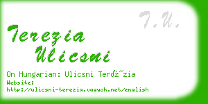 terezia ulicsni business card